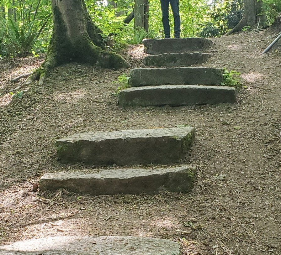 Stone steps in a forest representing the work-life coach process of moving toward the future 